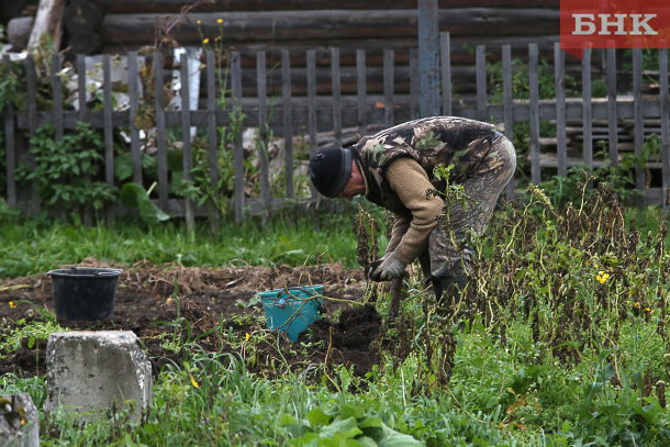 https://www.bnkomi.ru/content/news/images/112196/BOB_5182-kopiya.jpg