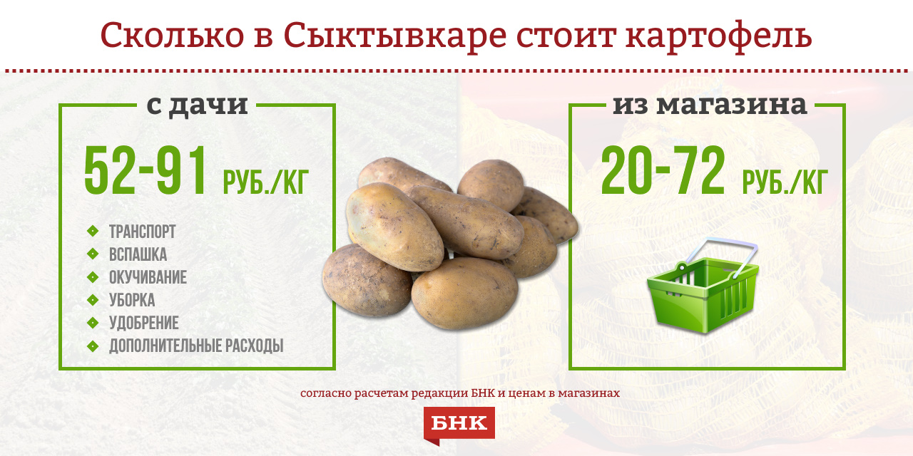 https://www.bnkomi.ru/content/news/images/112196/potato.jpg