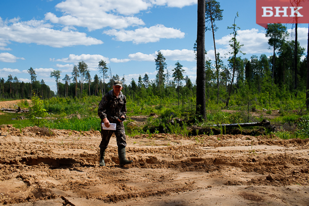 IMG_2321.jpg IMG_2321.jpg