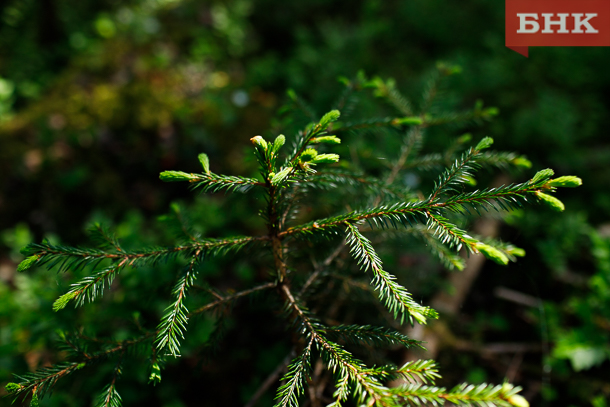 IMG_2348.jpg IMG_2348.jpg