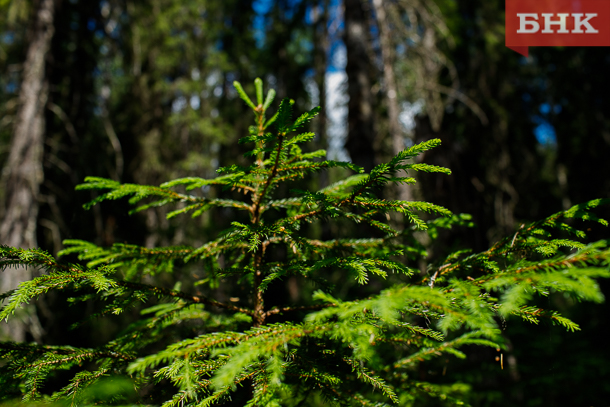 IMG_2373.jpg IMG_2373.jpg