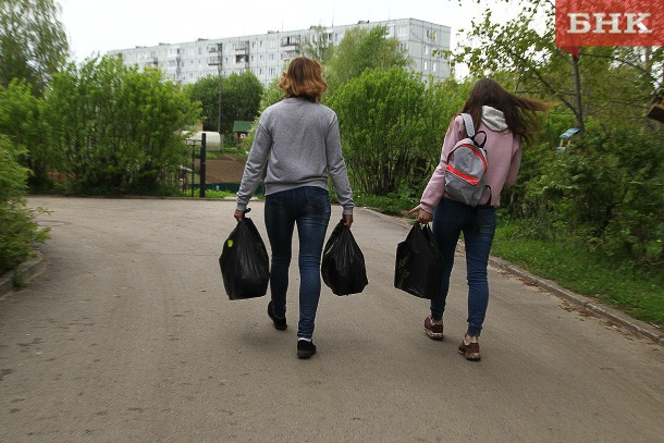 В Сыктывдинском районе нашли место под мусороперерабатывающий завод