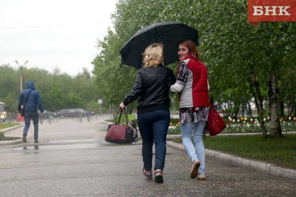 Первый день августа будет прохладным и ветреным