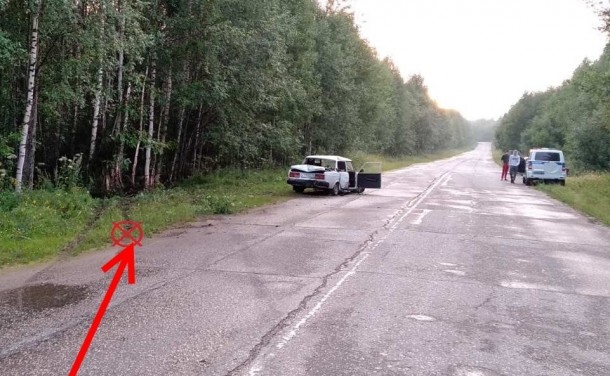 В Сыктывдинском районе молодому водителю без прав помешало дерево