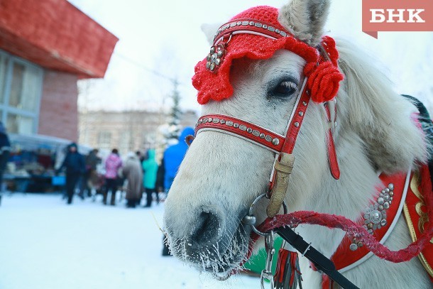 Житель Ижемского района отсудил у водителя гужевой повозки деньги на ремонт авто