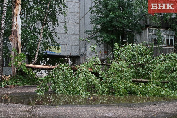 В Коми прохладно, но без осадков