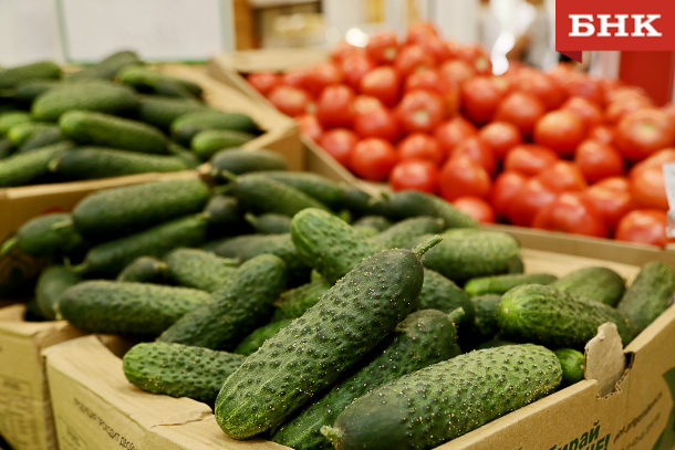 BOB_9419.jpg BOB_9419.jpg