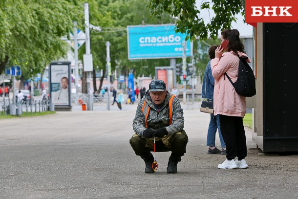 Сыктывкарцев попросили выбрать территории для благоустройства