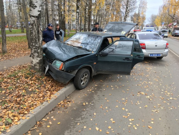 Нетрезвая сыктывкарка «сбила» дерево