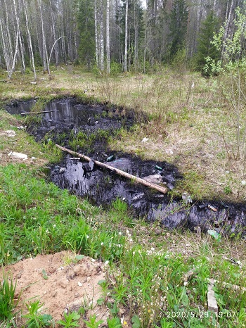 Власти Удорского района сообщили о ликвидации битумного «моря»