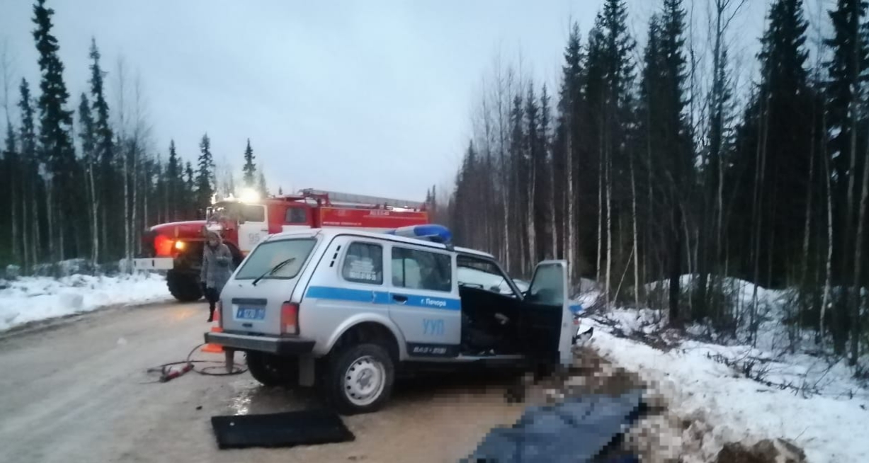 Печорские водители. Кедровый Шор Печора. Печора машина. ДТП на трассе Печора Ухта.