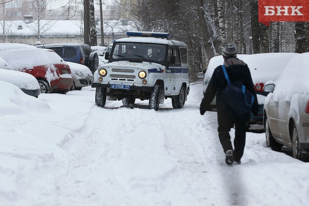 Полицейские раскрыли ограбление в печорском парке