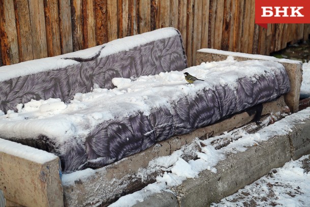 В Коми потеплело