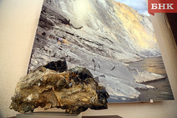 BOB_8385_mainPhoto.jpg BOB_8385_mainPhoto.jpg