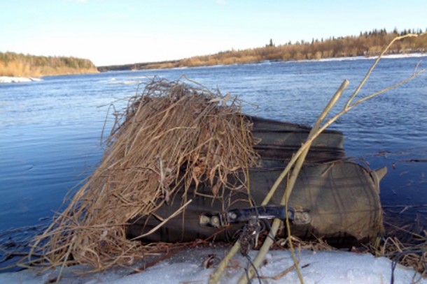 chemodan_mainPhoto.jpg chemodan_mainPhoto.jpg