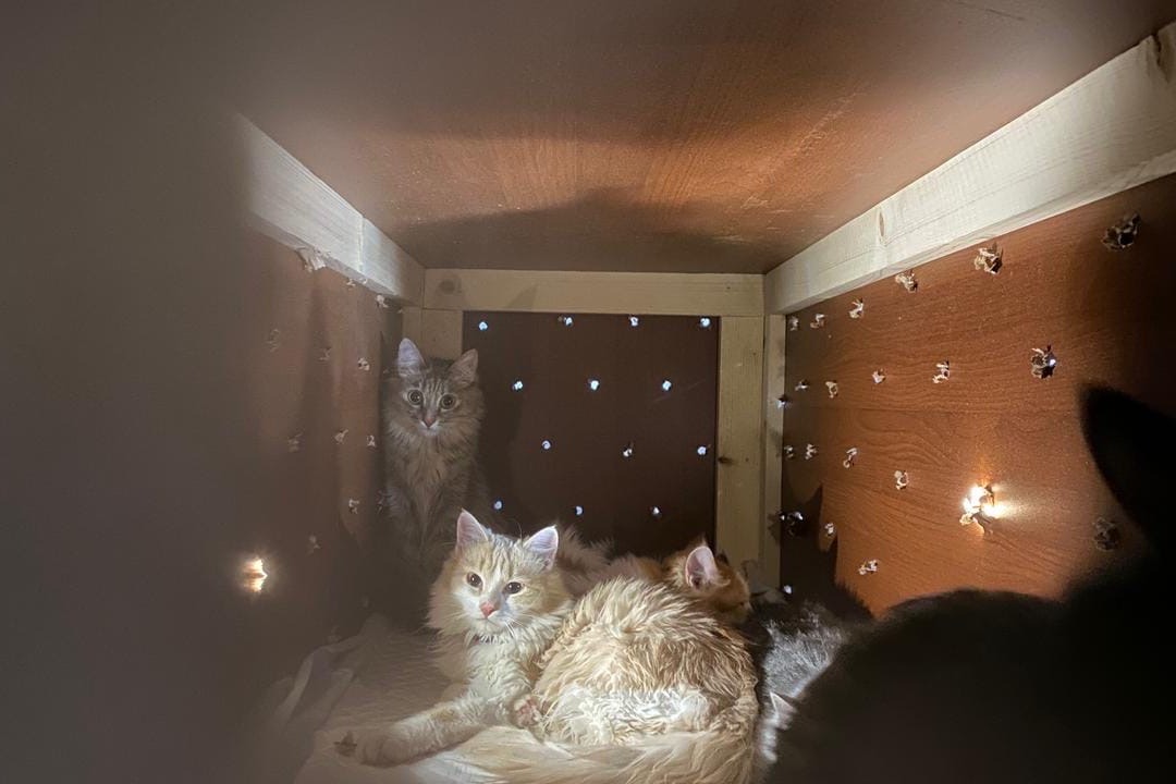 JPkyIXSq41U.jpg JPkyIXSq41U.jpg