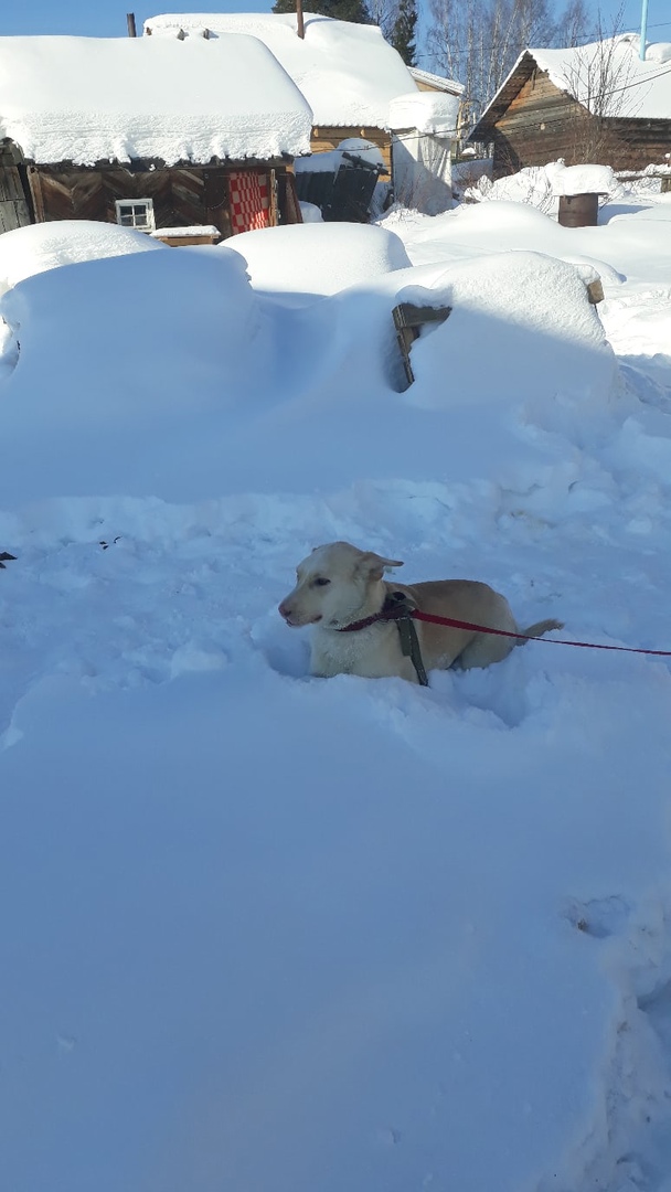 sRdbvohJHKk.jpg sRdbvohJHKk.jpg