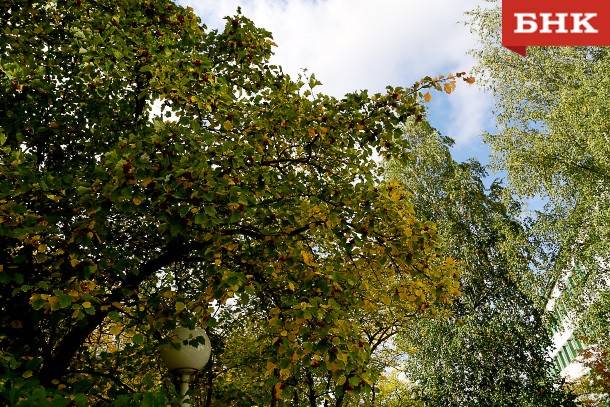 В Коми начинает теплеть