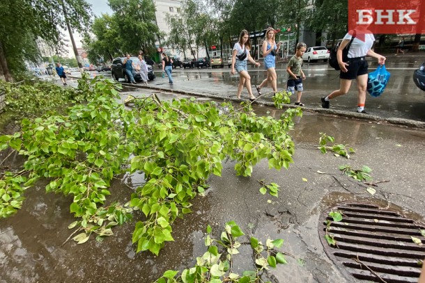 В Коми прогнозируют грозы и небольшие дожди