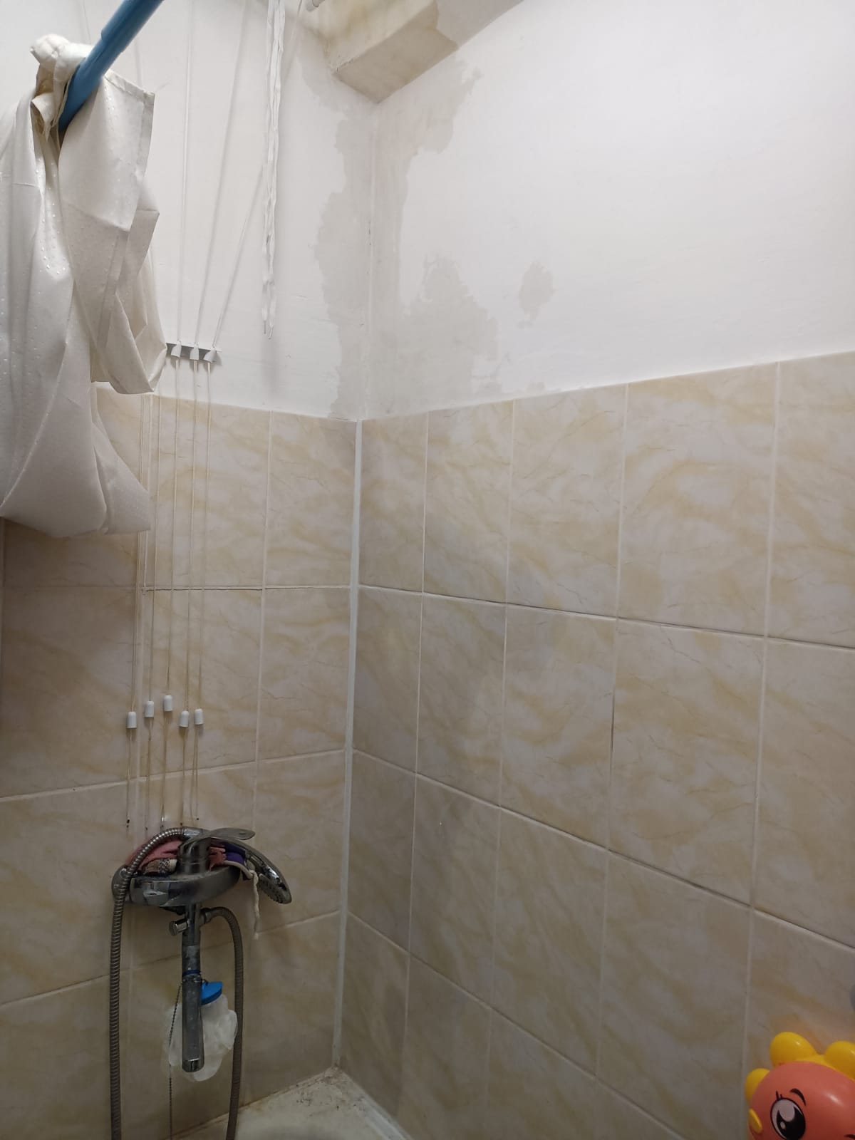 0791a7e1-b076-4313-a278-6d4b0554e5e6.jpg 0791a7e1-b076-4313-a278-6d4b0554e5e6.jpg