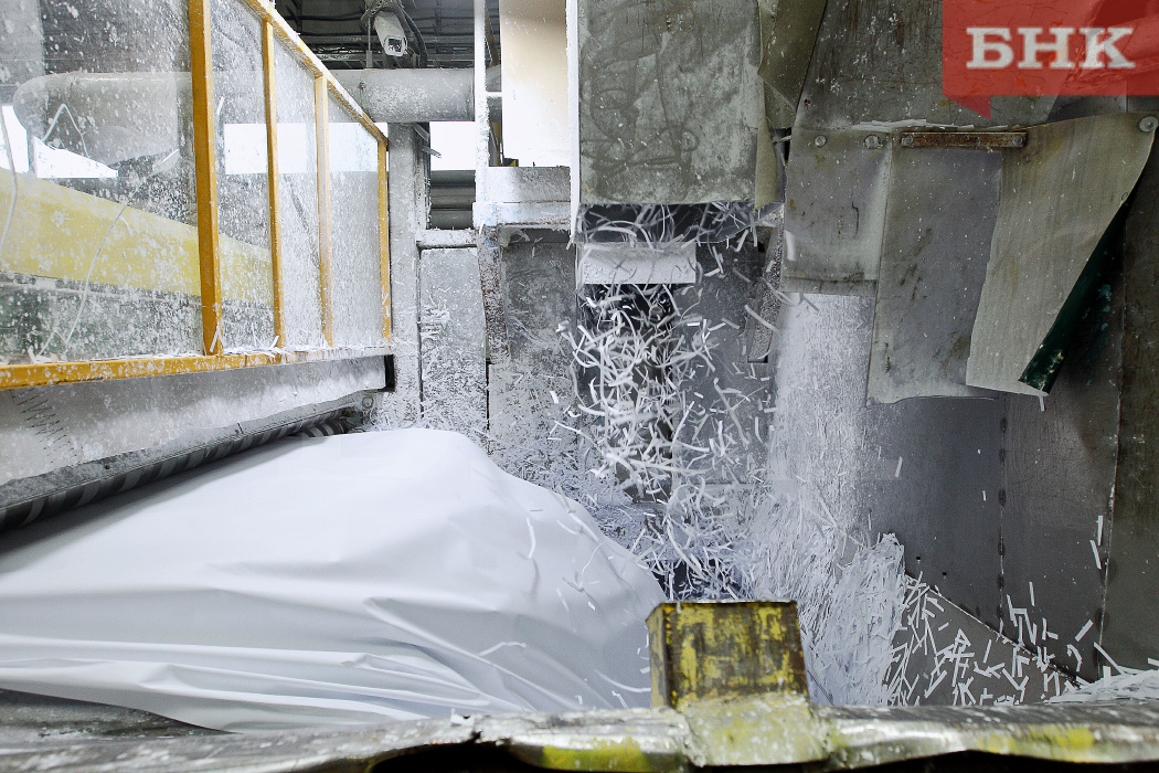 BOB_1000.jpg BOB_1000.jpg