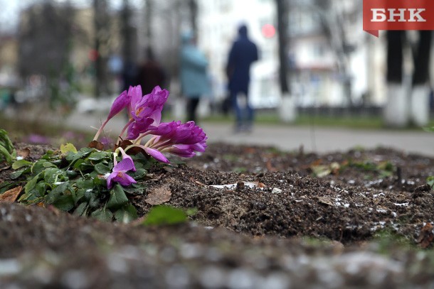 В Коми прохладно, но без осадков