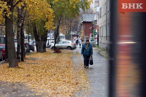 В Коми пройдут дожди