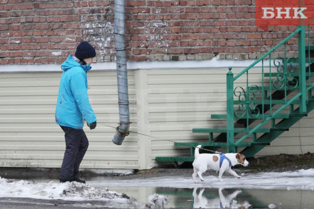 IMG_5158.jpg IMG_5158.jpg