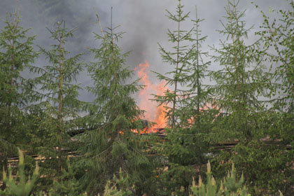 IMG_2766.jpg IMG_2766.jpg