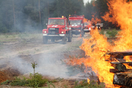 IMG_3002.jpg IMG_3002.jpg