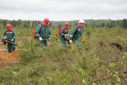 IMG_3067.jpg IMG_3067.jpg