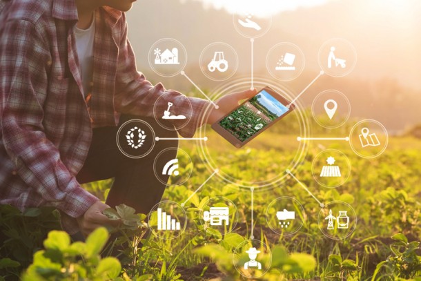 От виртуальной реальности до точного земледелия: РСХБ и «Сколково» ищут инновации для agro и fintech