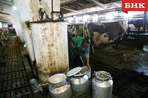 На ферме в Палевицах объяснили, что стало причиной «издевательств» над животными