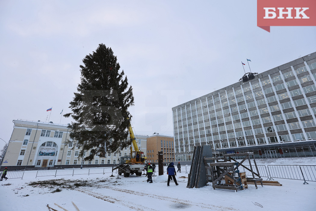 BOB_8929.jpg BOB_8929.jpg