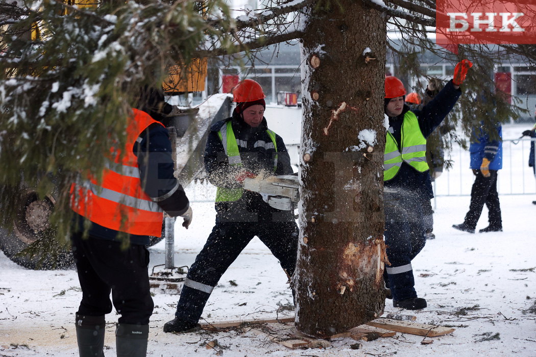 BOB_8990.jpg BOB_8990.jpg