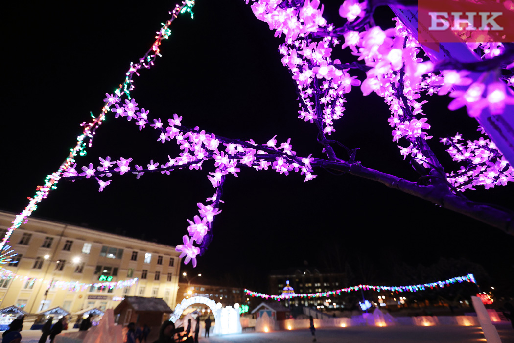 BOB_6433.jpg BOB_6433.jpg