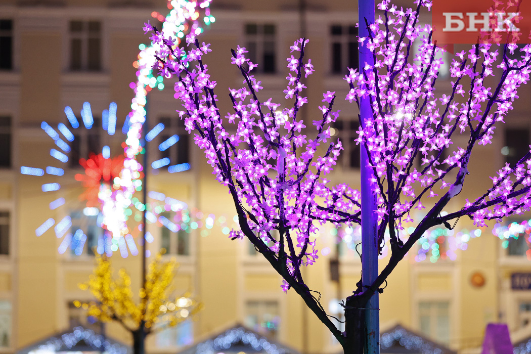 BOB_6445.jpg BOB_6445.jpg