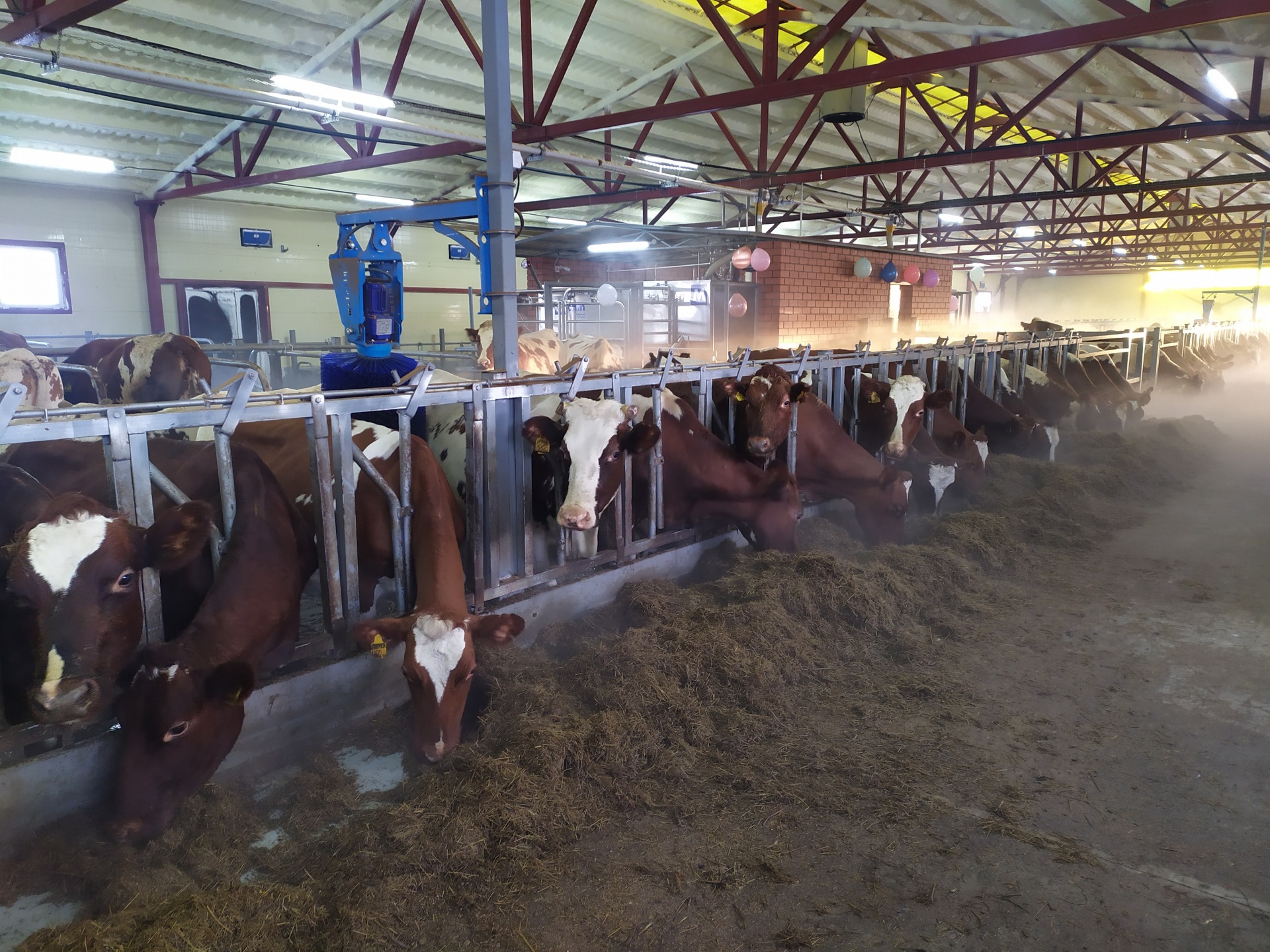 1640344832679.jpg 1640344832679.jpg