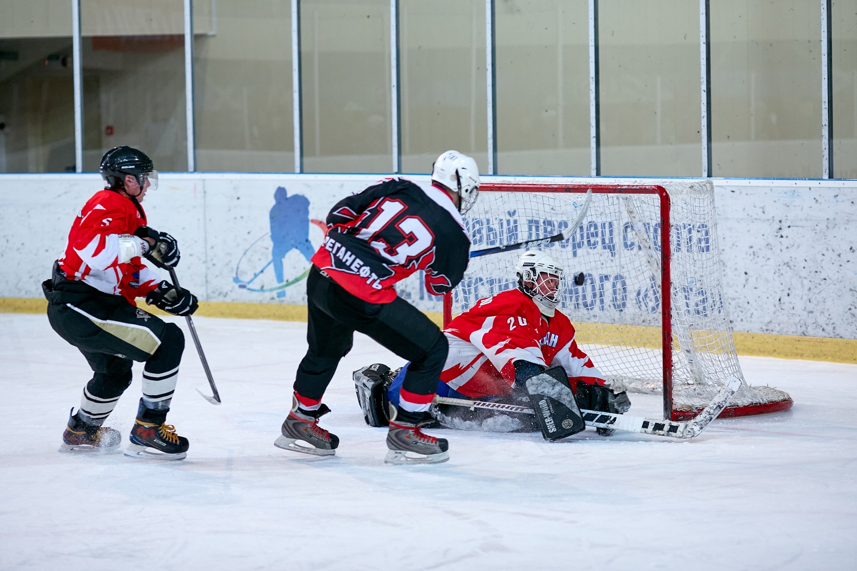 0X5A1764.jpg 0X5A1764.jpg