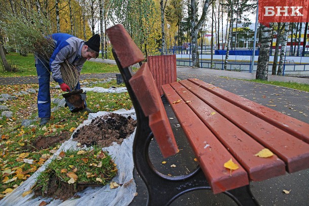 Где высадят липы и клены в Сыктывкаре