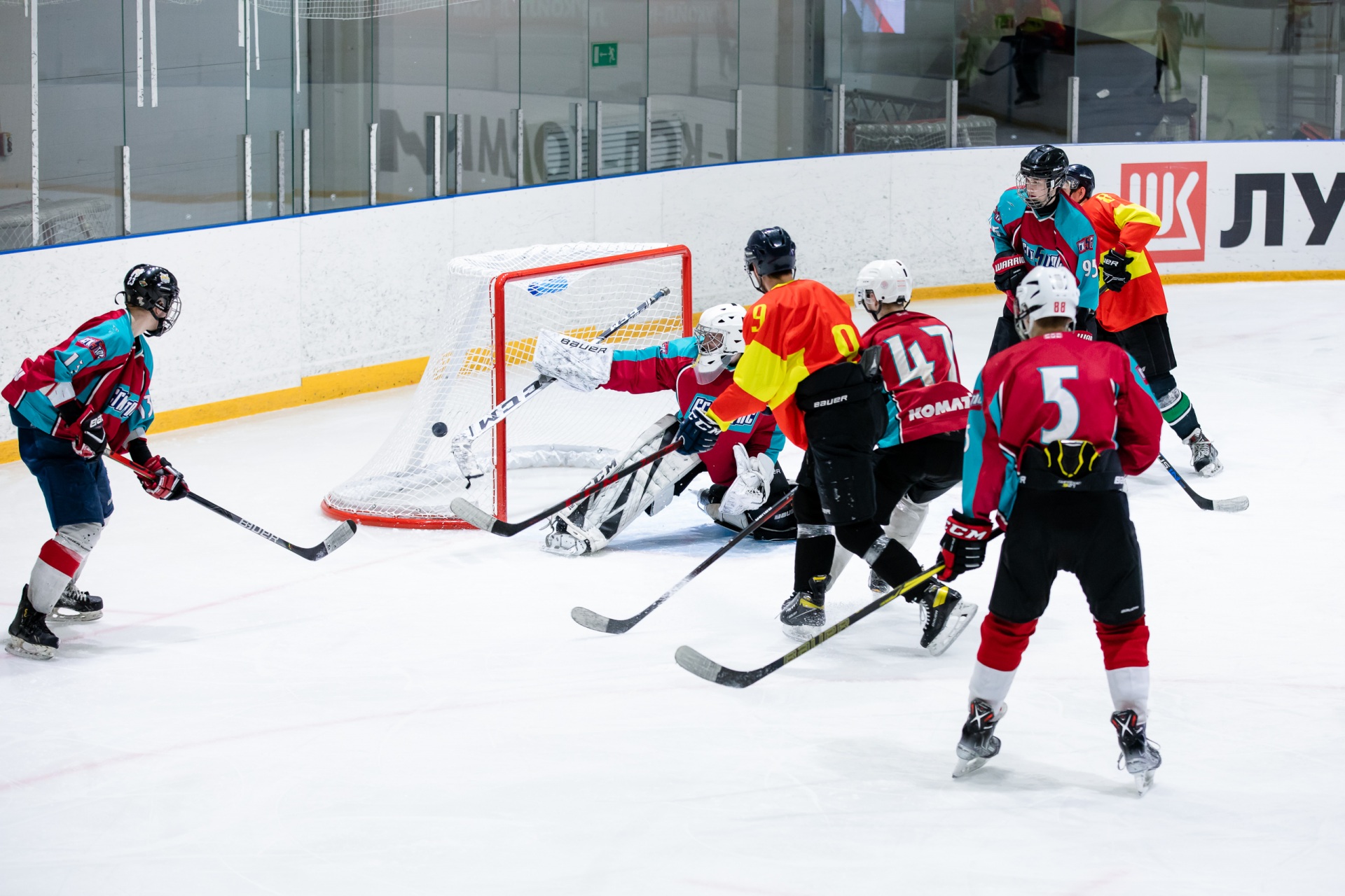 GAV_6062.jpg GAV_6062.jpg