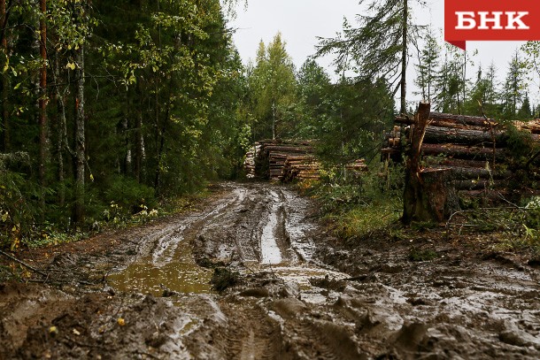 В Прилузье «черного лесоруба» лишили свободы на три года