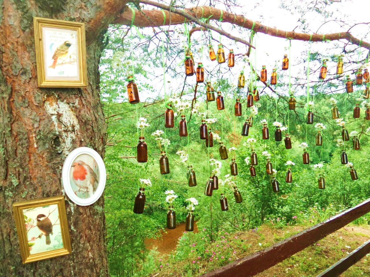 Baza-otdyha-_Mischkin-les_-3-foto_-Baza-otdyha-_Mischkin-les_.jpg Baza-otdyha-_Mischkin-les_-3-foto_-Baza-otdyha-_Mischkin-les_.jpg