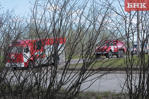 Пожарные Коми назвали главную причину пала травы