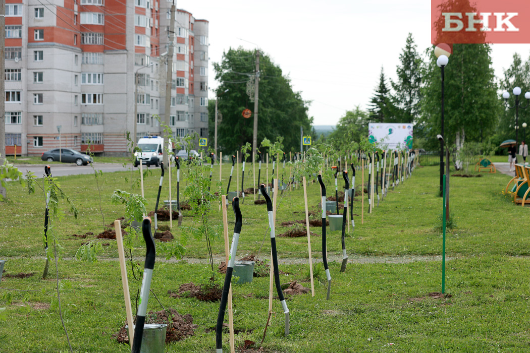 BOB_1028.jpg BOB_1028.jpg