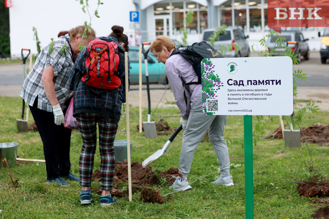 BOB_1243.jpg BOB_1243.jpg