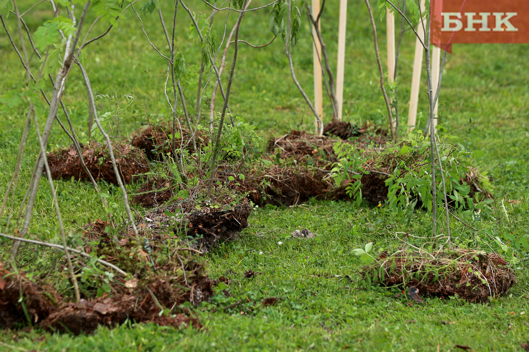 BOB_1461.jpg BOB_1461.jpg