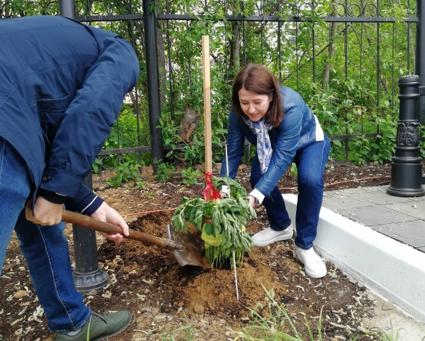 «ЧистоСоветскийДвор» учит сыктывкарцев раздельному сбору мусора