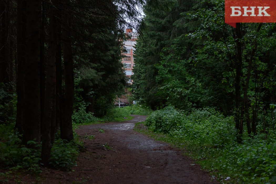 PIL_3088.jpg PIL_3088.jpg