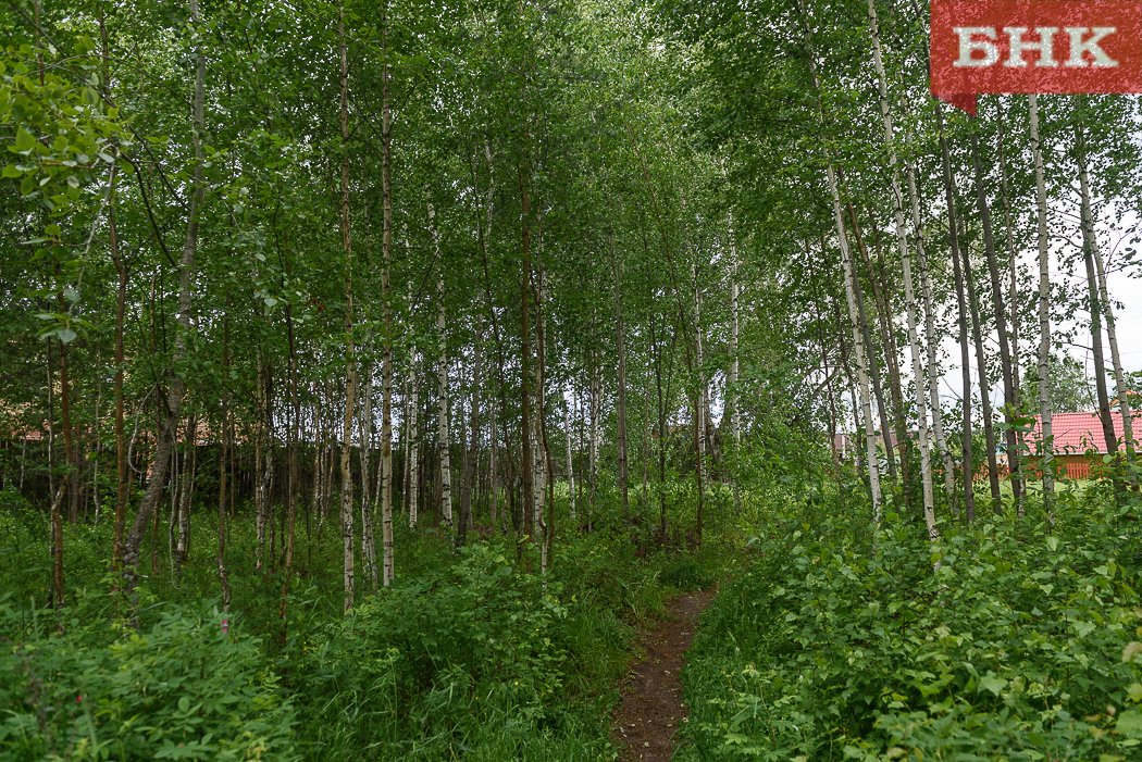 PIL_3096.jpg PIL_3096.jpg